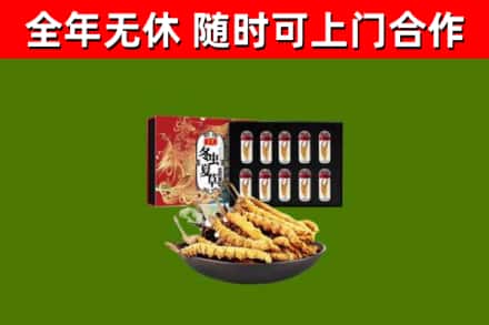 宛城区回收冬虫夏草价格