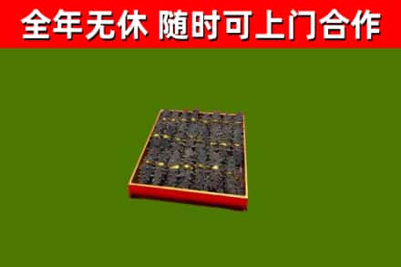宛城区回收海参